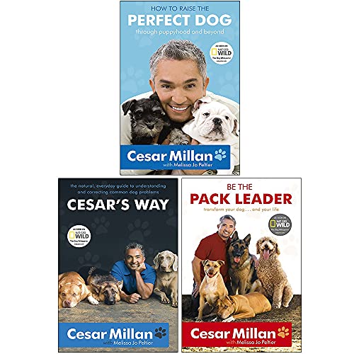 Cesar Millan 3-Bücher-Sammelpaket-Set – Wie man den perfekten Hund auf Cesar's Art großzieht und der Rudelführer wird
