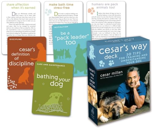 Cesar's Way Deck: 50 Tips for Training and Understanding Your Dog von Potter Style