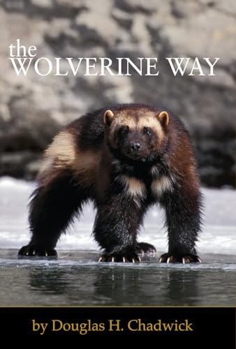 Wolverine Way von Patagonia