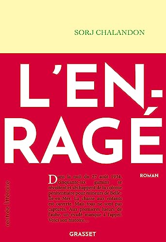 L'enragé: Roman