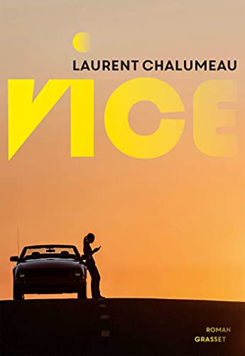 Vice: roman