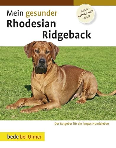 Mein gesunder Rhodesian Ridgeback: Topfit, kerngesund, aktiv