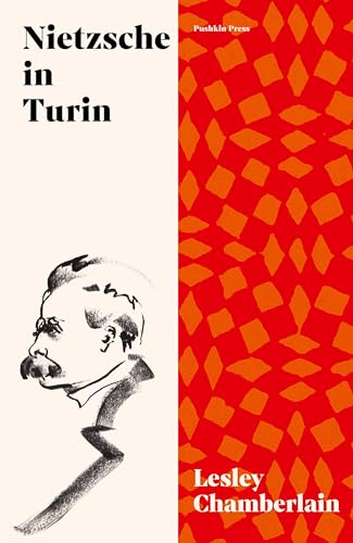 Nietzsche in Turin: The End of the Future von Pushkin Press