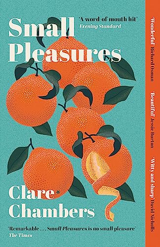 Small Pleasures: Longlisted for the Women's Prize for Fiction von Weidenfeld & Nicolson