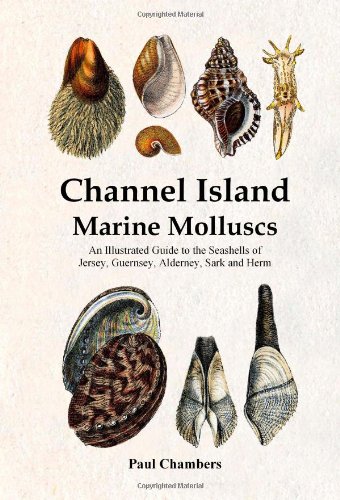 Channel Island Marine Molluscs: An Illustrated Guide to All the Species from Jersey, Guernsey, Alderney, Sark and Herm
