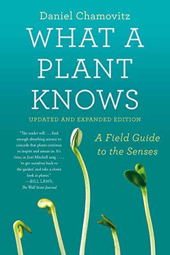 What a Plant Knows: A Field Guide to the Senses