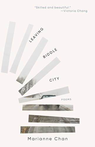 Leaving Biddle City von Sarabande Books