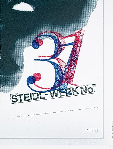 STEIDL–WERK No.31: GHOSTS IN THE MACHINE (Steidl-werk, 31)