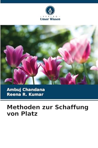 Methoden zur Schaffung von Platz von Verlag Unser Wissen