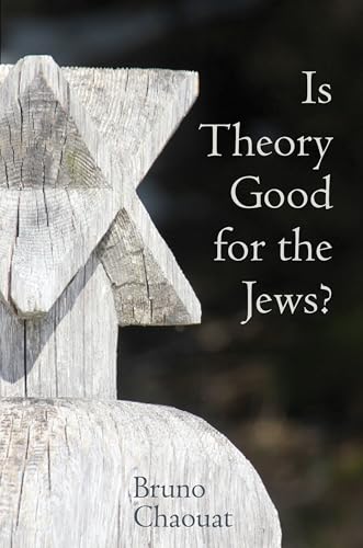 Is Theory Good for the Jews?: French Thought and the Challenge of the New Antisemitism (Contemporary French and Francophone Cultures Lup, Band 43)