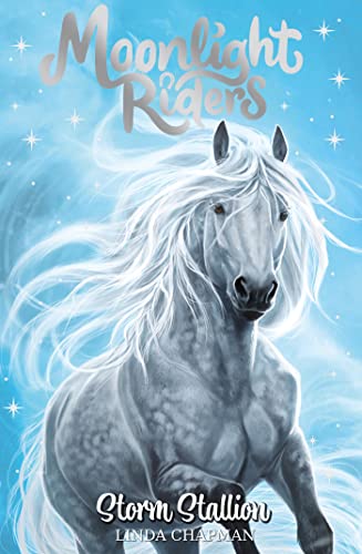 Storm Stallion: Book 2 (Moonlight Riders) von Orchard Books