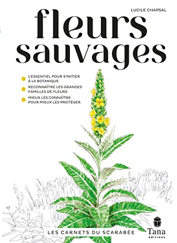 Les carnets du scarabée - Fleurs sauvages: Plantes sauvages