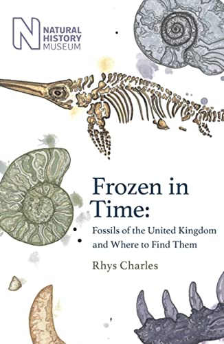 Frozen in Time: Fossils of Great Britain and Where to Find Them von Trapeze