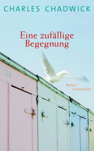 Eine zufällige Begegnung: Roman
