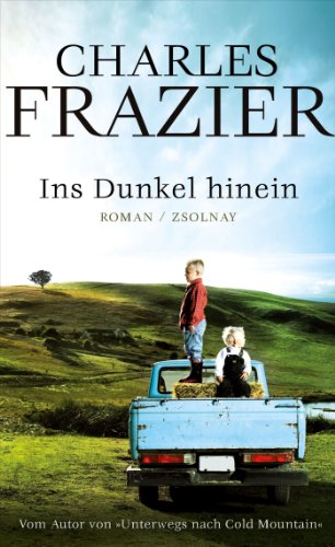 Ins Dunkel hinein: Roman