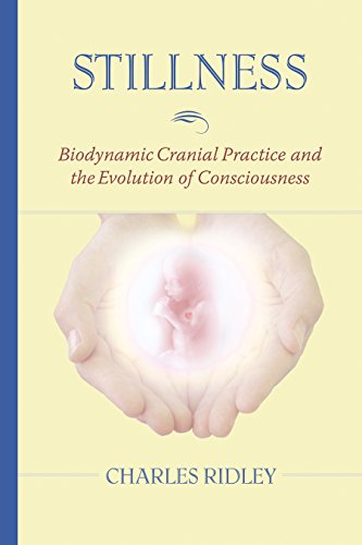 Stillness: Biodynamic Cranial Practice and the Evolution of Consciousness von North Atlantic Books