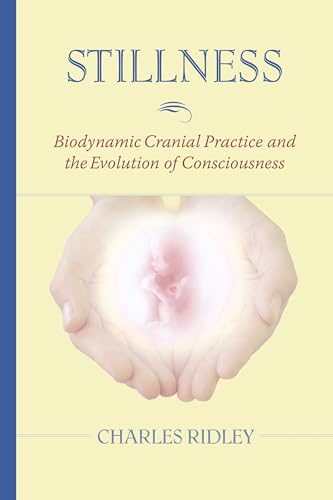 Stillness: Biodynamic Cranial Practice and the Evolution of Consciousness