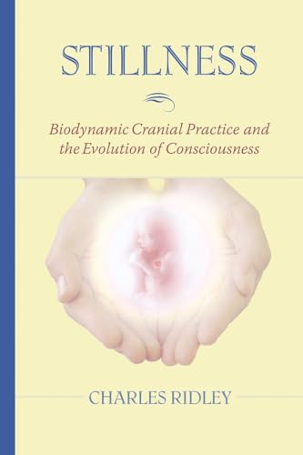 Stillness: Biodynamic Cranial Practice and the Evolution of Consciousness