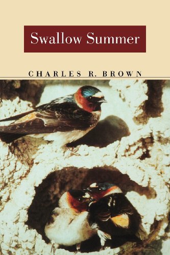 Swallow Summer (Bison Book) von UNP - Nebraska Paperback