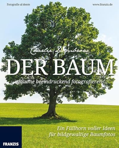 Der Baum: Bäume beeindruckend fotografieren. Fotografie al dente: Ein Füllhorn voller Ideen für bildgewaltige Baumfotos