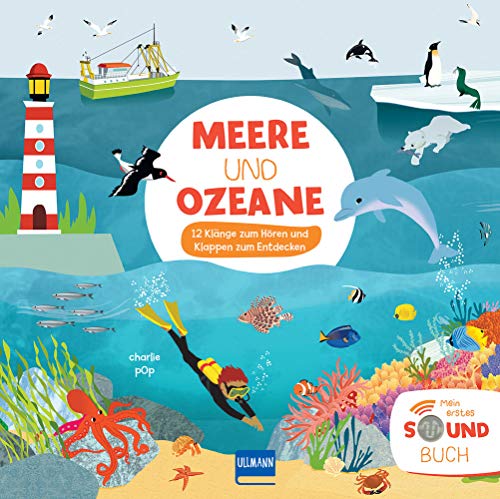 Soundbuch Meere und Ozeane (Soundbücher)
