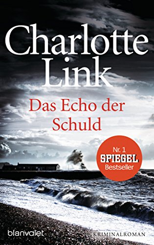 Das Echo der Schuld: Kriminalroman