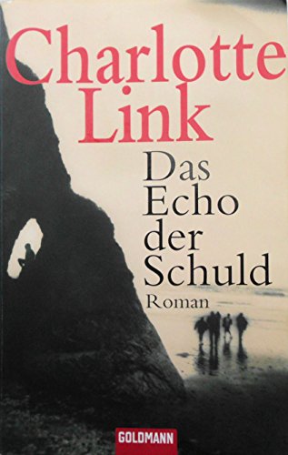 Das Echo der Schuld: Roman