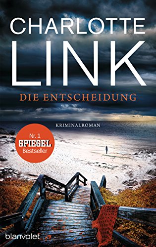 Die Entscheidung: Kriminalroman