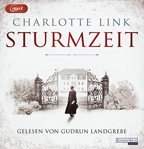 Sturmzeit: . (Die Sturmzeittrilogie, Band 1)