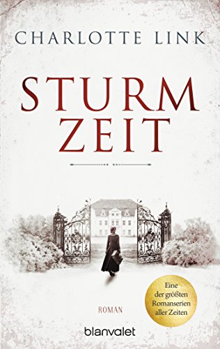 Sturmzeit: Roman (Die Sturmzeittrilogie, Band 1)