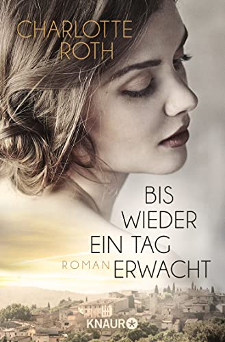 Bis wieder ein Tag erwacht: Roman