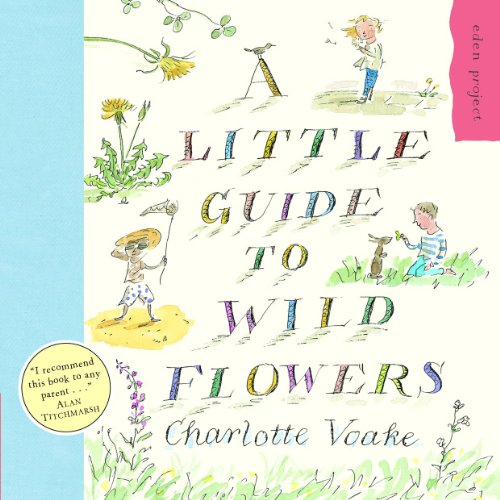 A Little Guide To Wild Flowers von Transworld Publishers
