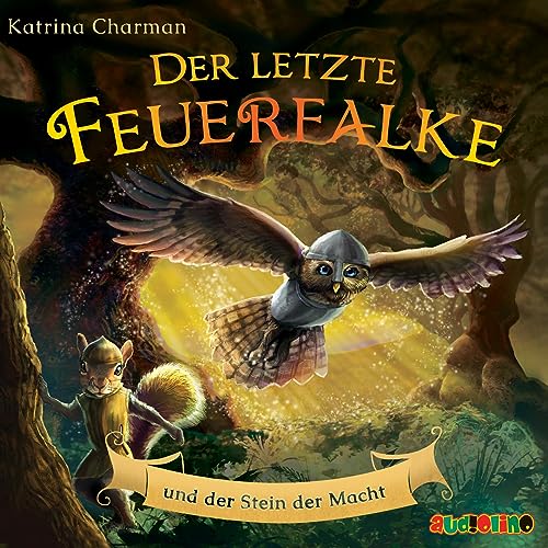 Der letzte Feuerfalke und der Stein der Macht