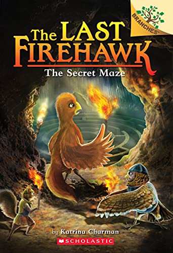 The Secret Maze: A Branches Book (the Last Firehawk #10), Volume 10