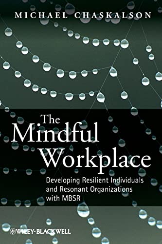 The Mindful Workplace: Developing Resilient Individuals and Resonant Organizations With MBSR
