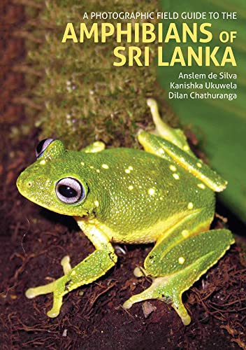 A Photographic Field Guide to the Amphibians of Sri Lanka von John Beaufoy Publishing Ltd