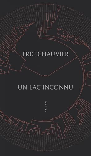Un lac inconnu von ALLIA