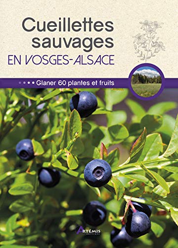 Cueillettes sauvages en Vosges-Alsace: 60 plantes et fruits à glaner