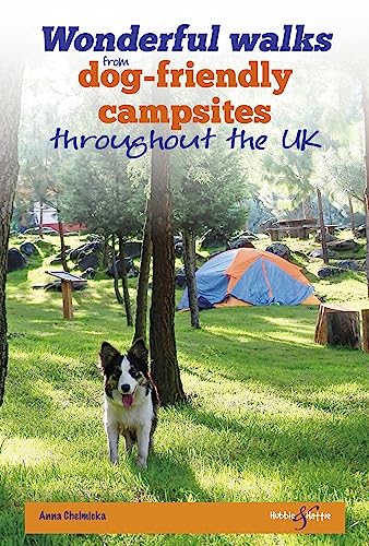 Wonderful walks from dog-friendly campsites throughout the UK