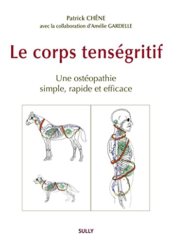 Le corps tenségritif: Un ostéopathie simple, rapide et efficace Le corps tenségritif: Un ostéopathie simple, rapide et efficace von SULLY