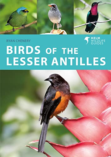 Birds of the Lesser Antilles: A Photographic Guide (Helm Wildlife Guides) von Helm