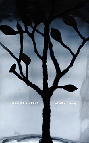 Invocation: an Essay von New Michigan Press