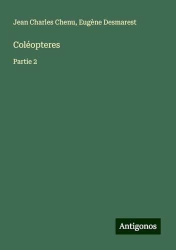 Coléopteres: Partie 2