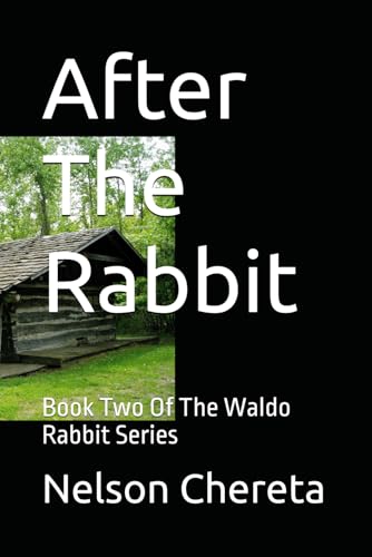 After The Rabbit: Book Two Of The Waldo Rabbit Series von Independently published