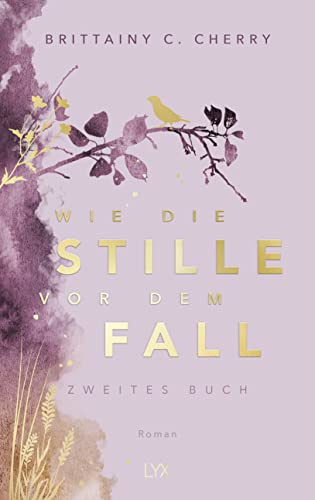 Wie die Stille vor dem Fall. Zweites Buch: Special Edition (Chances-Reihe)