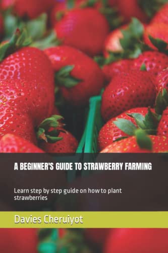 A BEGINNER'S GUIDE TO STRAWBERRY FARMING: Learn step by step guide on how to plant strawberries