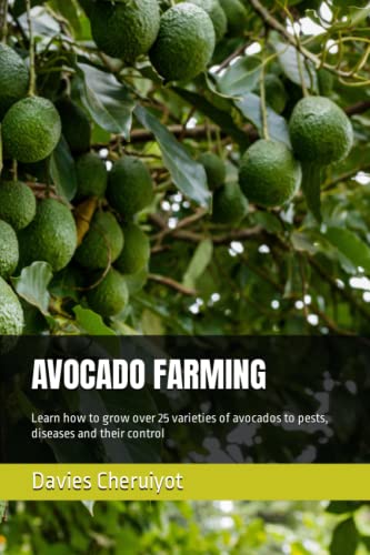 AVOCADO FARMING: Learn how to grow over 25 varieties of avocados to pests, diseases and their control AVOCADO FARMING: Learn how to grow over 25 varieties of avocados to pests, diseases and their control