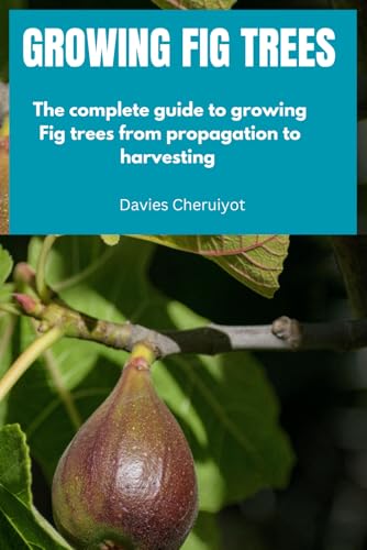 GROWING FIG TREES: The complete guide to growing Fig trees from propagation to harvesting (Fruits farming) GROWING FIG TREES: The complete guide to growing Fig trees from propagation to harvesting (Fruits farming) von Independently published