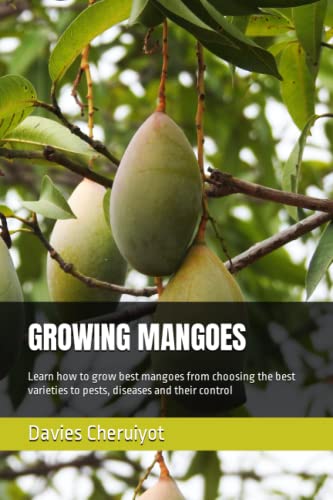 GROWING MANGOES: Learn how to grow best mangoes from choosing the best varieties to pests, diseases and their control