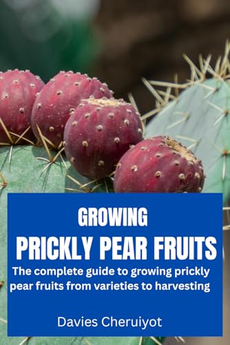 GROWING PRICKLY PEAR FRUITS: The complete guide to growing prickly pear fruits from varieties to harvesting GROWING PRICKLY PEAR FRUITS: The complete guide to growing prickly pear fruits from varieties to harvesting von Independently published